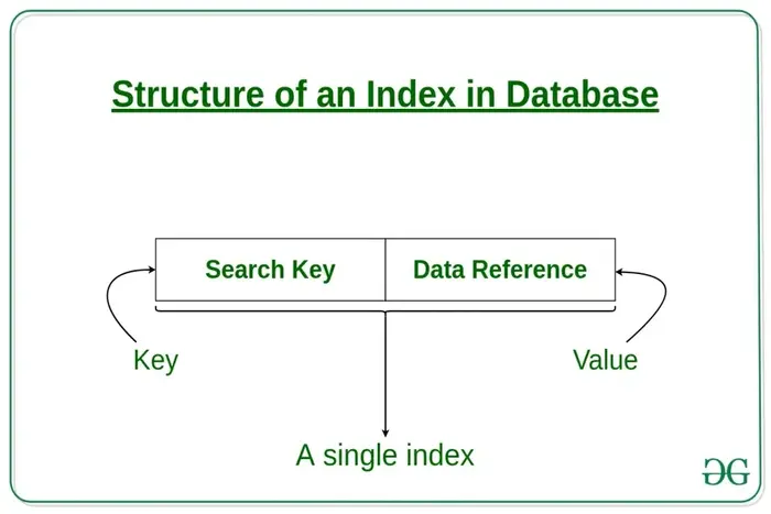 Structure of Index in Database